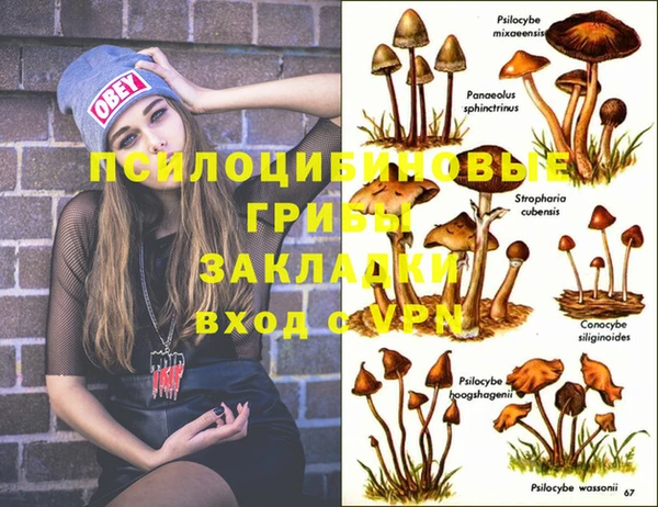 амф Абаза