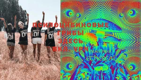 амф Абинск