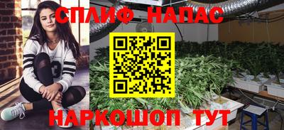 метадон Шелехов