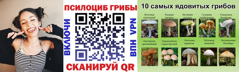 Псилоцибиновые грибы прущие грибы  Североморск 