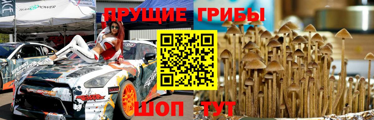 Псилоцибиновые грибы ЛСД Североморск