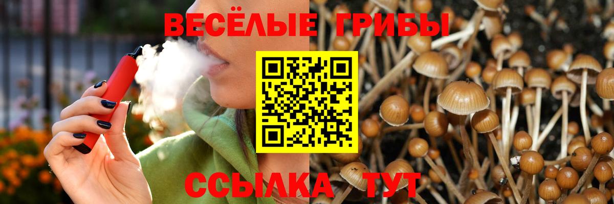 Галлюциногенные грибы GOLDEN TEACHER  Вход с VPN  Североморск 